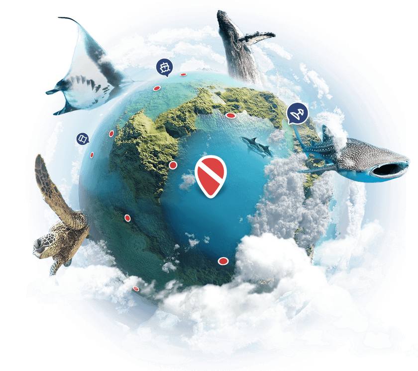 Illustrated globe with dive-spot markers, surrounded by a manta ray, whale, whale shark and sea turtle